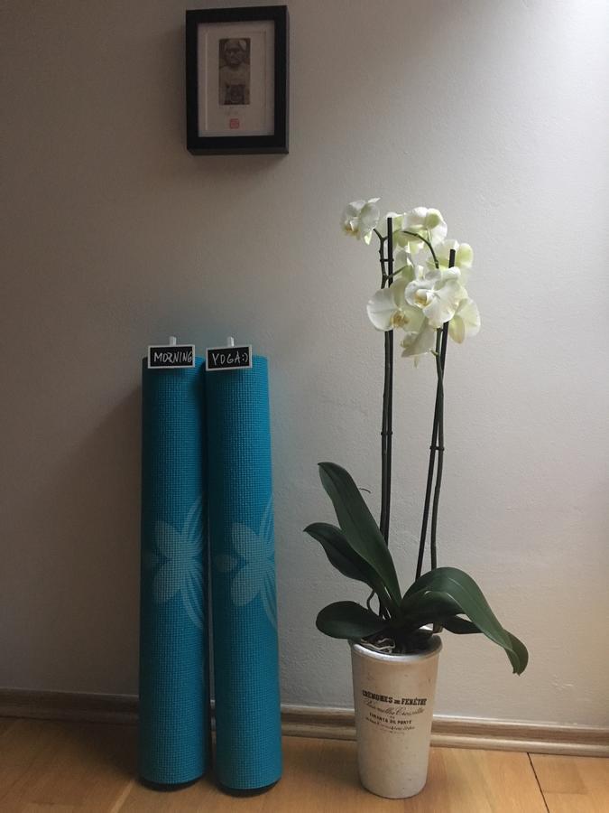 Amazing Angie'S Apartment Prague Ngoại thất bức ảnh